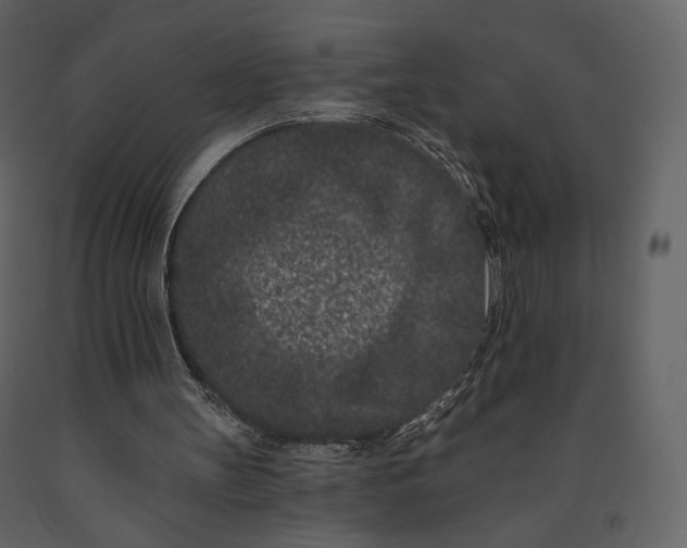 X0000091170147200708231513