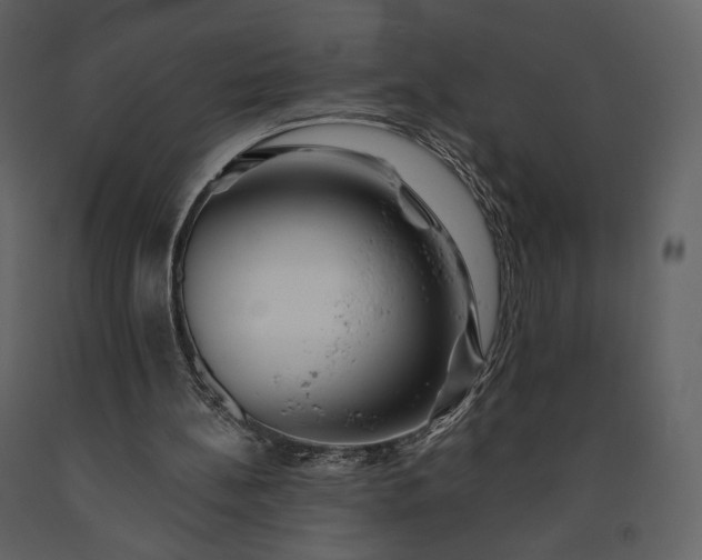 X0000091170148200708231513