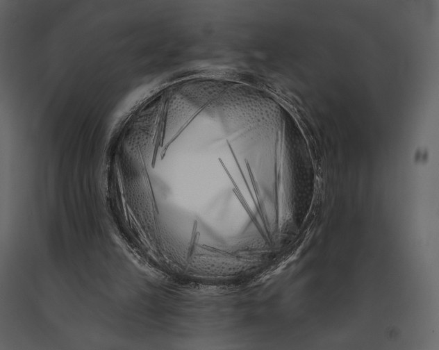 X0000091170149200708231513