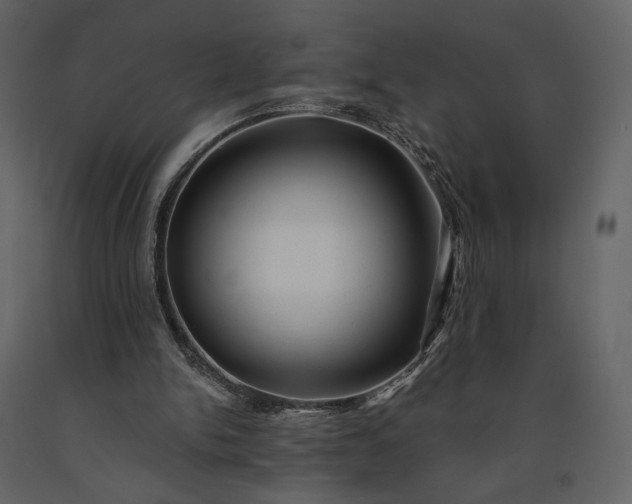 X0000091170150200708231513