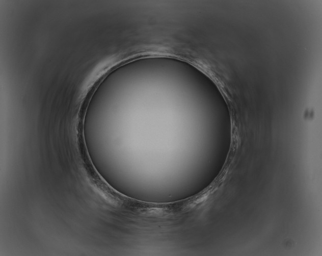 X0000091170151200708231513