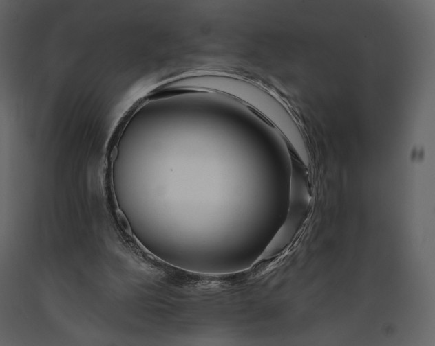 X0000091170152200708231513