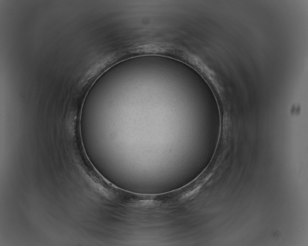 X0000091170153200708231513