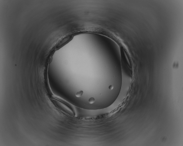 X0000091170154200708231513