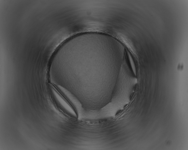 X0000091170156200708231513