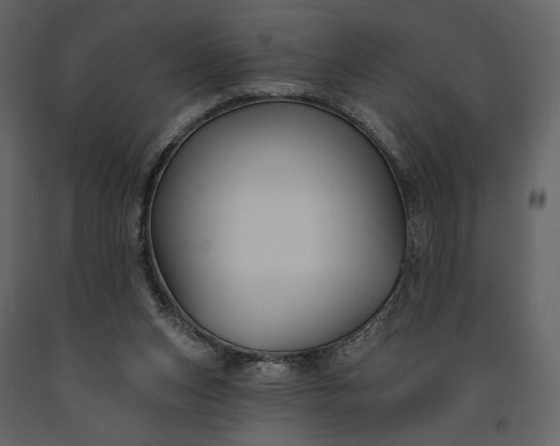 X0000091170159200708231513