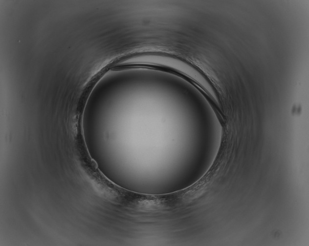 X0000091170160200708231513