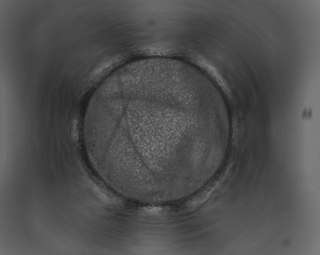 X0000091170161200708231513