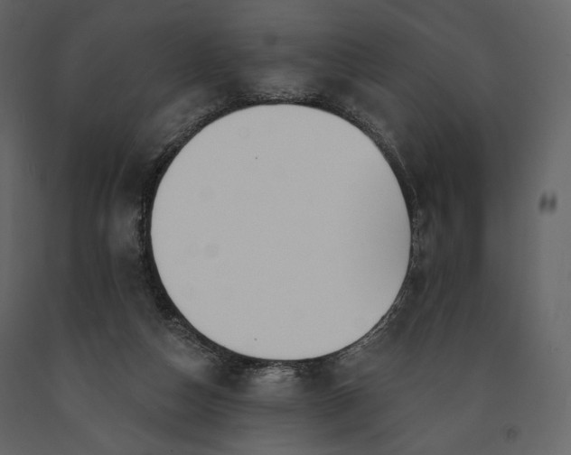 X0000091170162200708231513