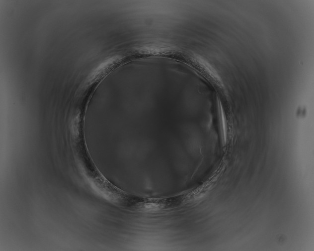 X0000091170163200708231513