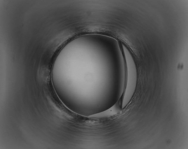 X0000091170164200708231513