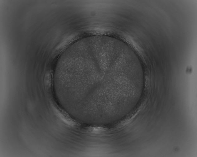 X0000091170165200708231513