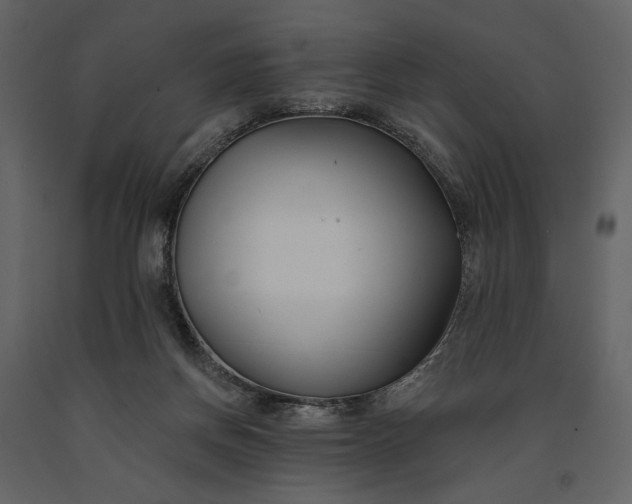 X0000091170166200708231513