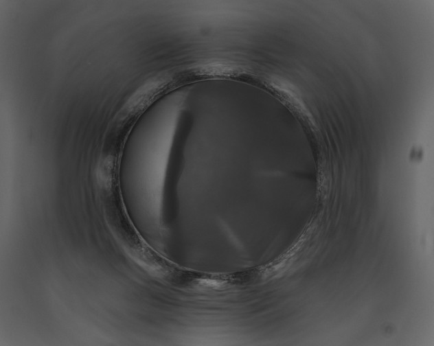 X0000091170167200708231513