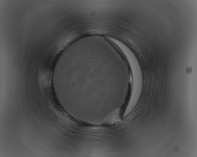 X0000091170168200708231513