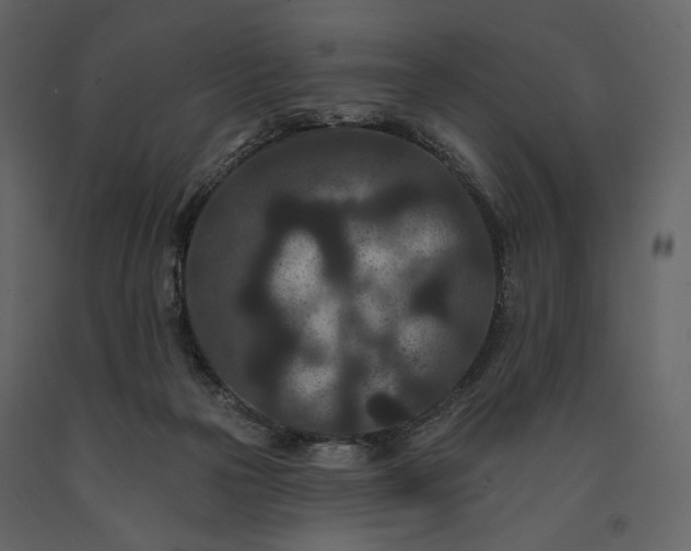 X0000091170169200708231513