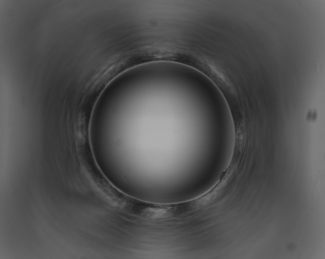 X0000091170170200708231513