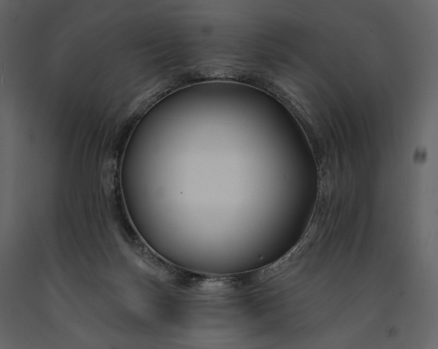 X0000091170171200708231513