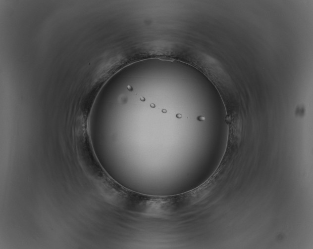 X0000091170172200708231513