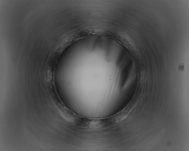 X0000091170173200708231513