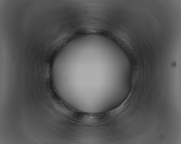 X0000091170174200708231513