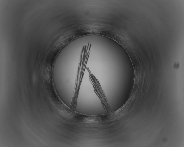 X0000091170175200708231513