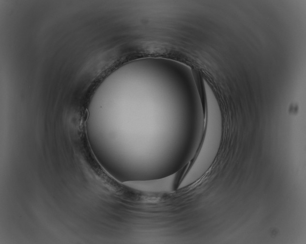 X0000091170176200708231513