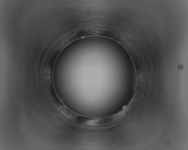 X0000091170178200708231513