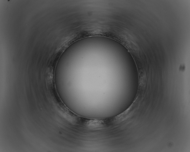 X0000091170179200708231513