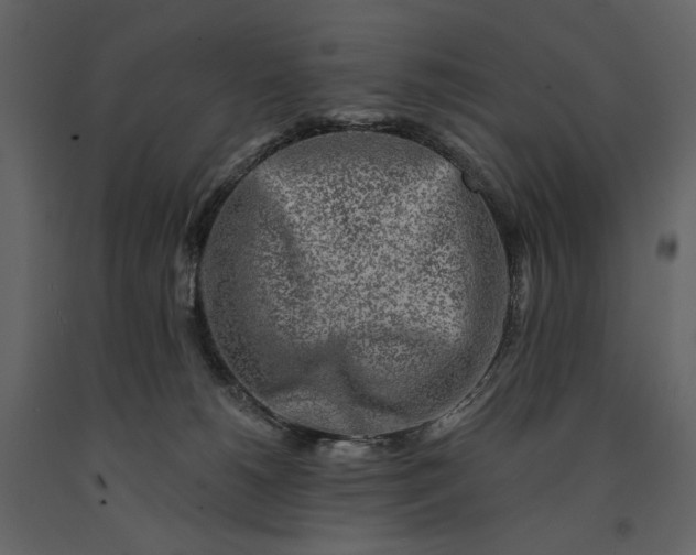 X0000091170180200708231513