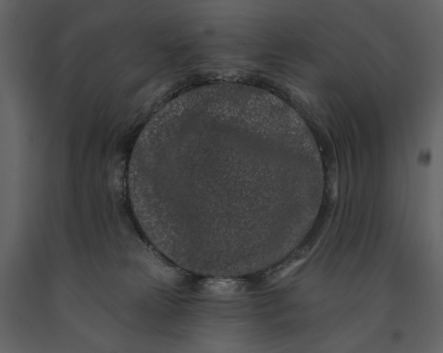 X0000091170181200708231513