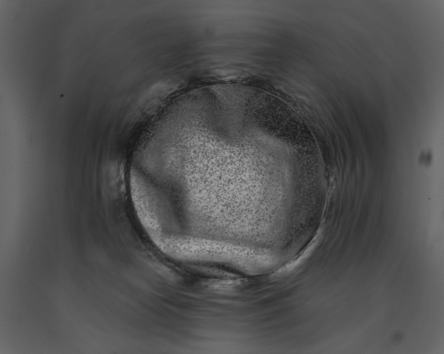 X0000091170182200708231513