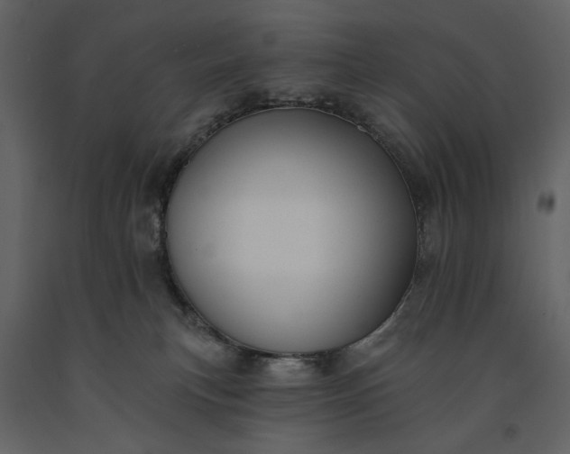 X0000091170183200708231513