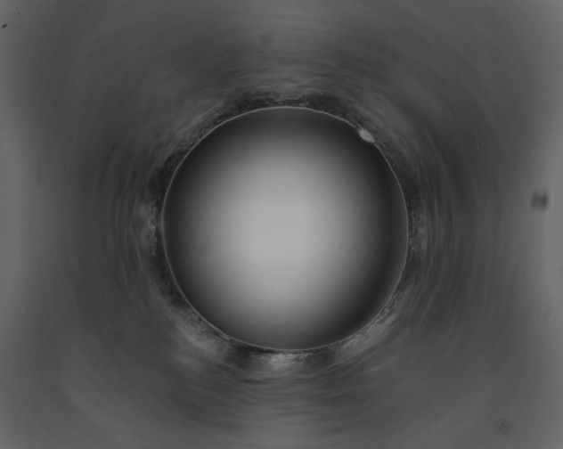 X0000091170184200708231513