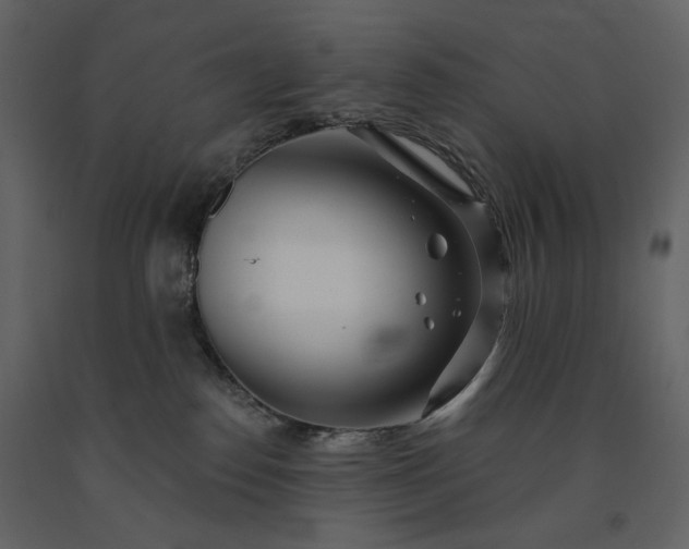 X0000091170186200708231513