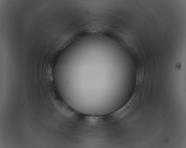 X0000091170187200708231513