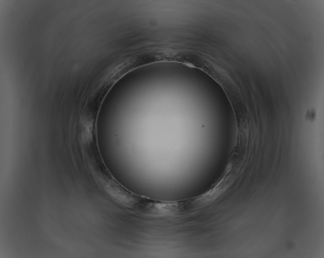 X0000091170188200708231514