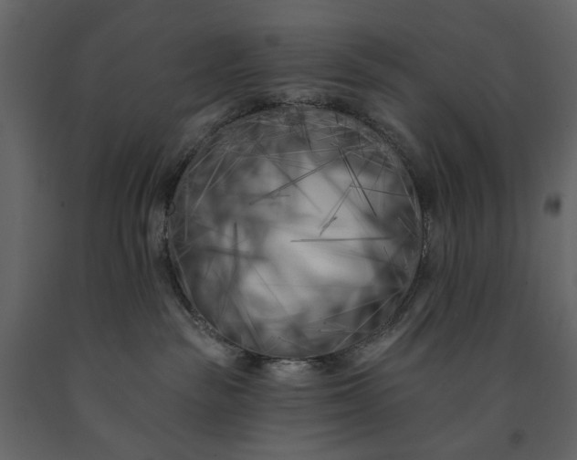 X0000091170189200708231514