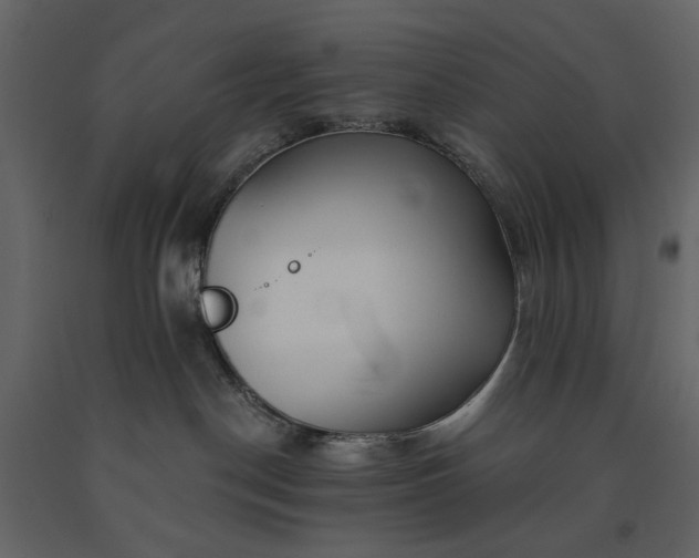 X0000091170190200708231514