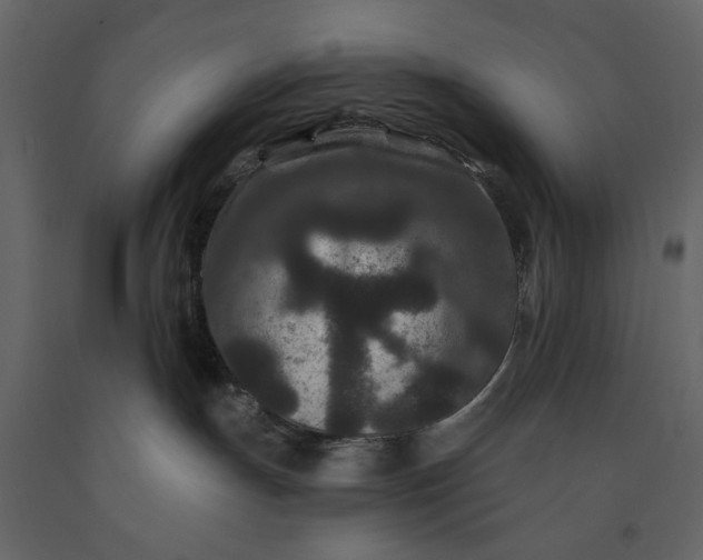 X0000091170191200708231514