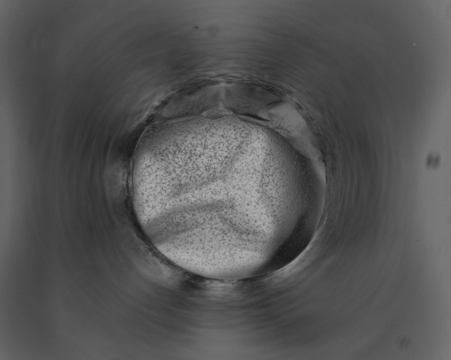 X0000091170192200708231514