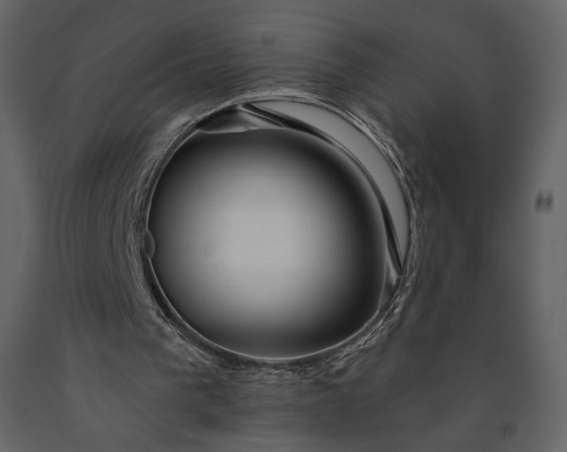 X0000091170193200708231513