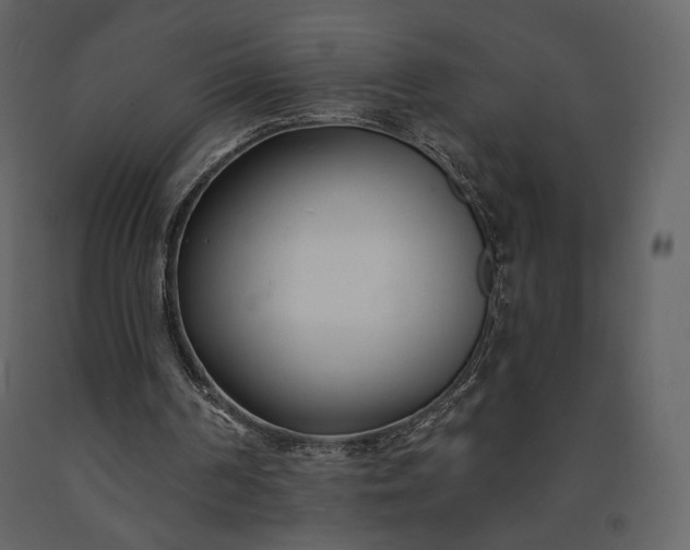 X0000091170194200708231513