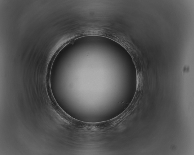 X0000091170195200708231513