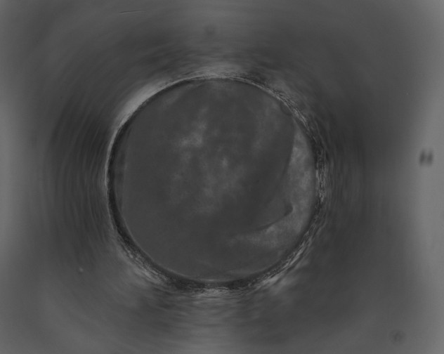 X0000091170196200708231513