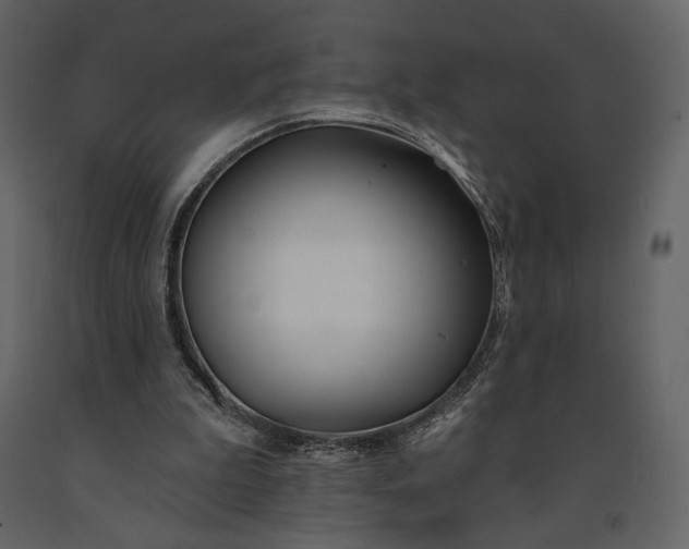 X0000091170199200708231513