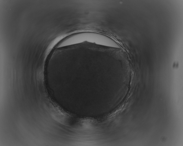 X0000091170200200708231513