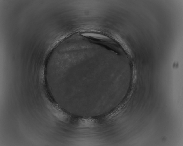 X0000091170202200708231513