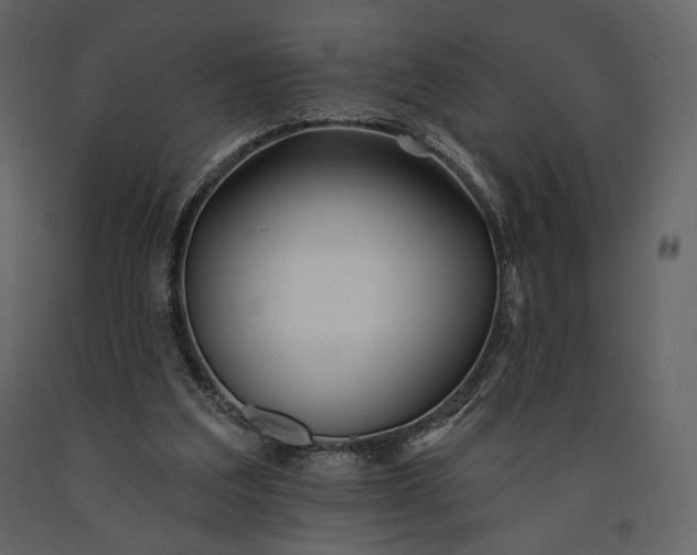 X0000091170203200708231513