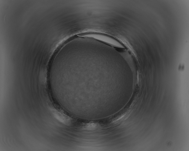 X0000091170204200708231513